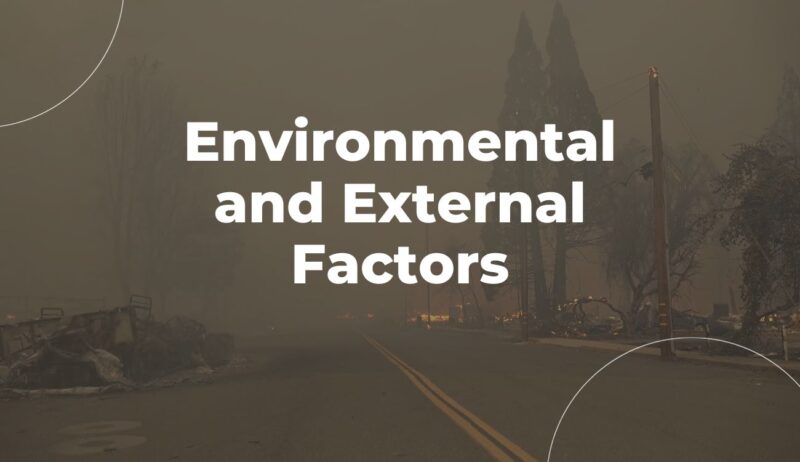 Environmental and External Factors